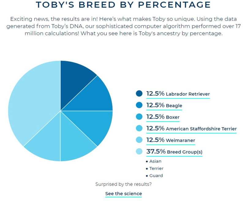 Illustration for article titled Toby's DNA Results Are In! And He Is...